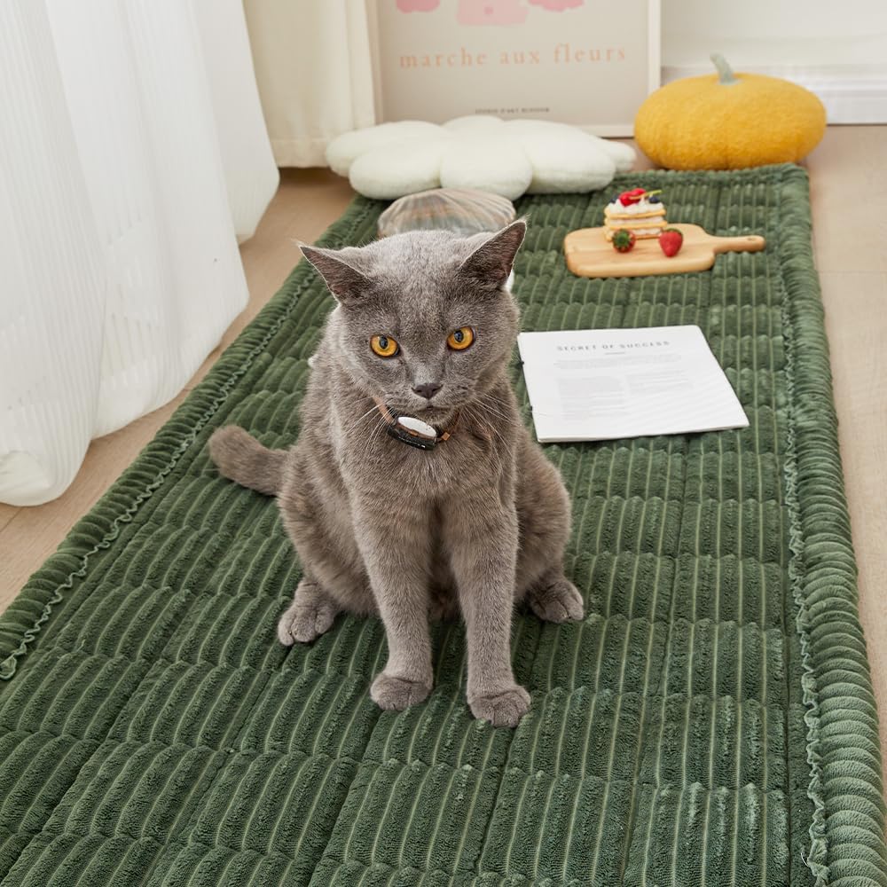 Couch Cover for Dogs Washable, Fuzzy Pet Couch Covers for 3 Cushion Sofa Pet Friendly, Non Slip Sofa Cover (Green, 27.6" x 70.9"/70 x 180cm)