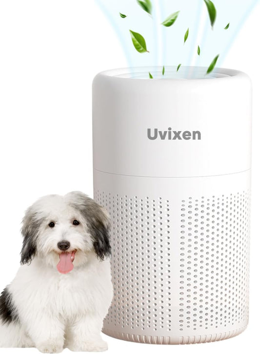 Air Purifiers for Home - Mini Air Purifier with HEPA Air Filter- USB Operated Air Purifier for Bedroom, Car and Living Room