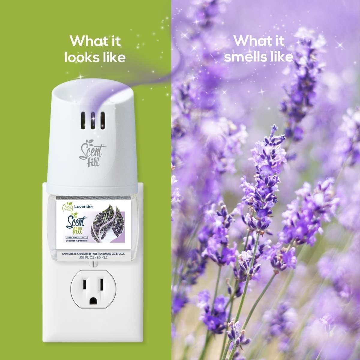 Scent Fill 100% Natural Lavender Plug in Air Freshener, Scented Oil Refills, 2 Refills + Diffuser