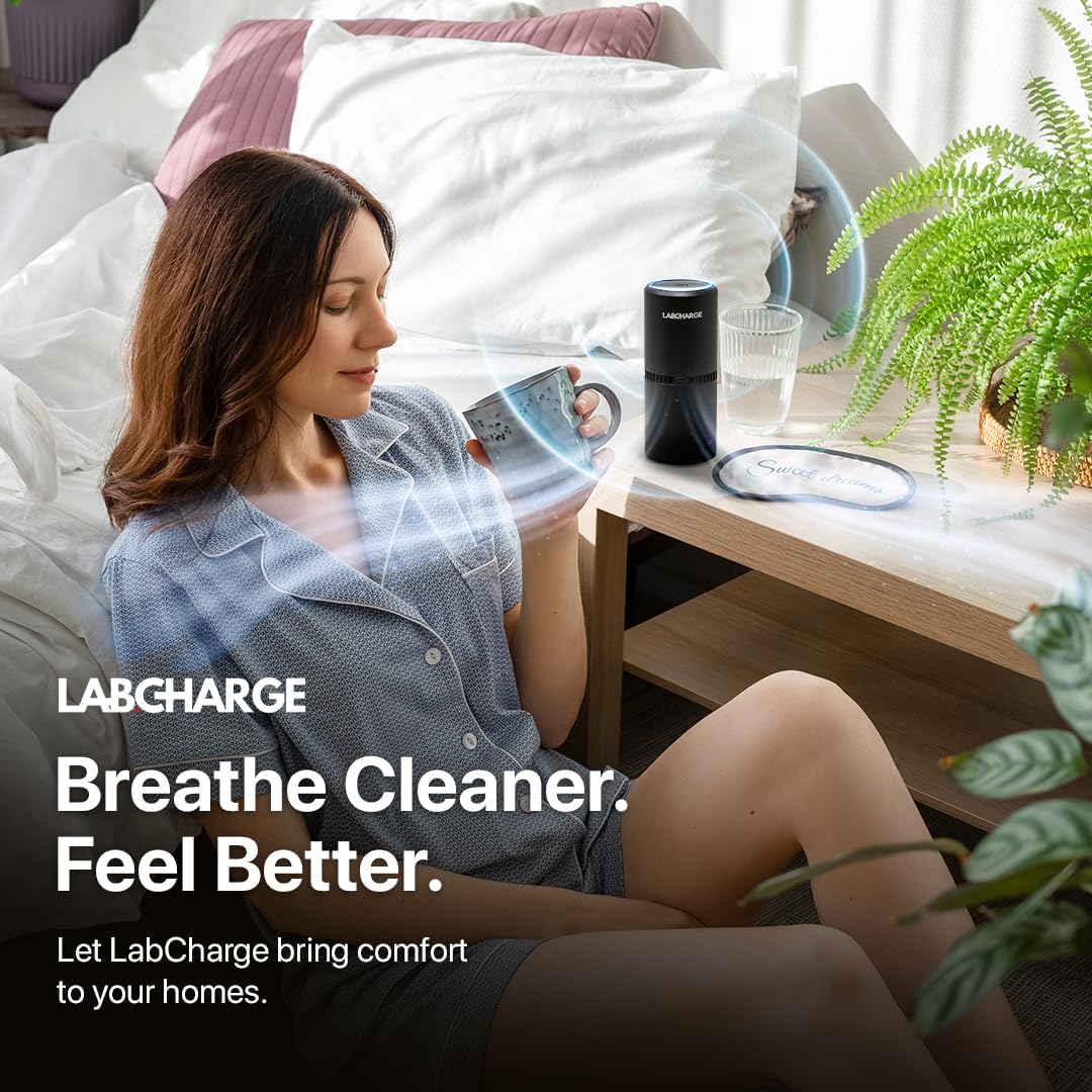 LabCharge Small Ionic Air Purifier for Home & Bedroom – Silent HEPA Filter – Covers 250 Sq Ft - Free Cleaner for Pets, Hair, Smoke, Dust, Odors & Dander – Compact & Black Design - Pack of 5