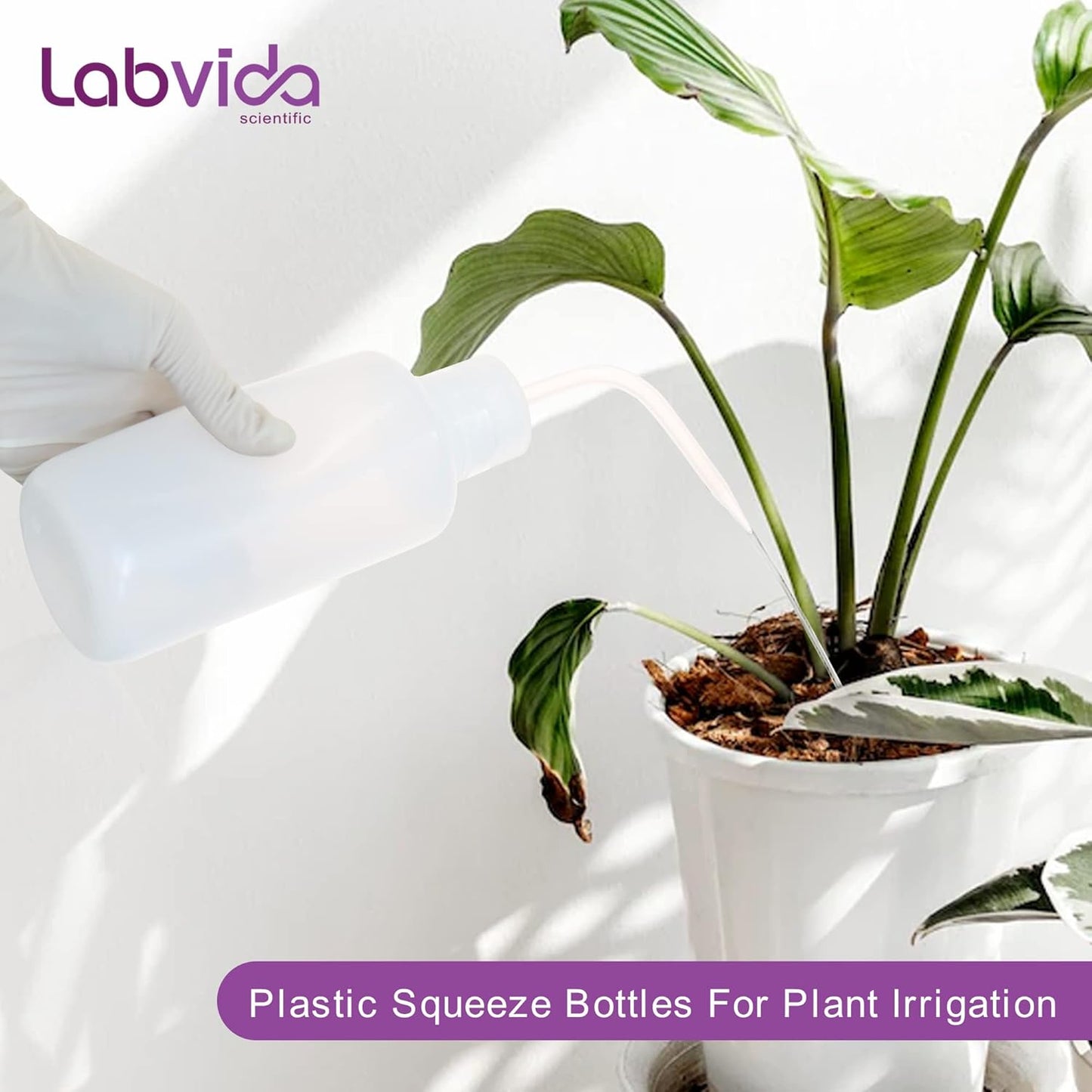 New Releasedd Thick Wall 500ml/17OZ Squeeze Bottle Set 2pcs - Versatile Durable Plastic Wash Bottles for Lab Use and Plant Watering