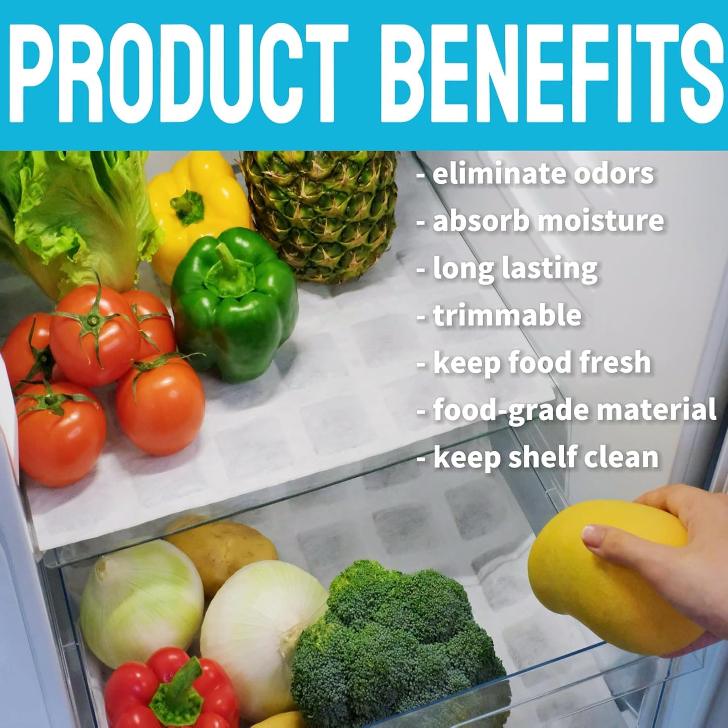 Refrigerator Deodorizer, Outperforms Baking Soda Fridge Deodorizer, Odor Eliminator for Fridge & Freezer, Refrigerator Air Freshener And Moisture Absorbers Pad (Single Pack)