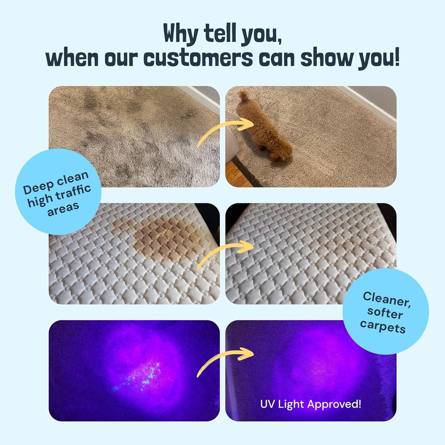 Sunny & Honey Carpet Cleaner Solution - 32 Fl Oz, Fresh Summer Scent - Rug Shampoo & Upholstery Cleaning Solution - Pet Odor Eliminator & Pet Stain Remover