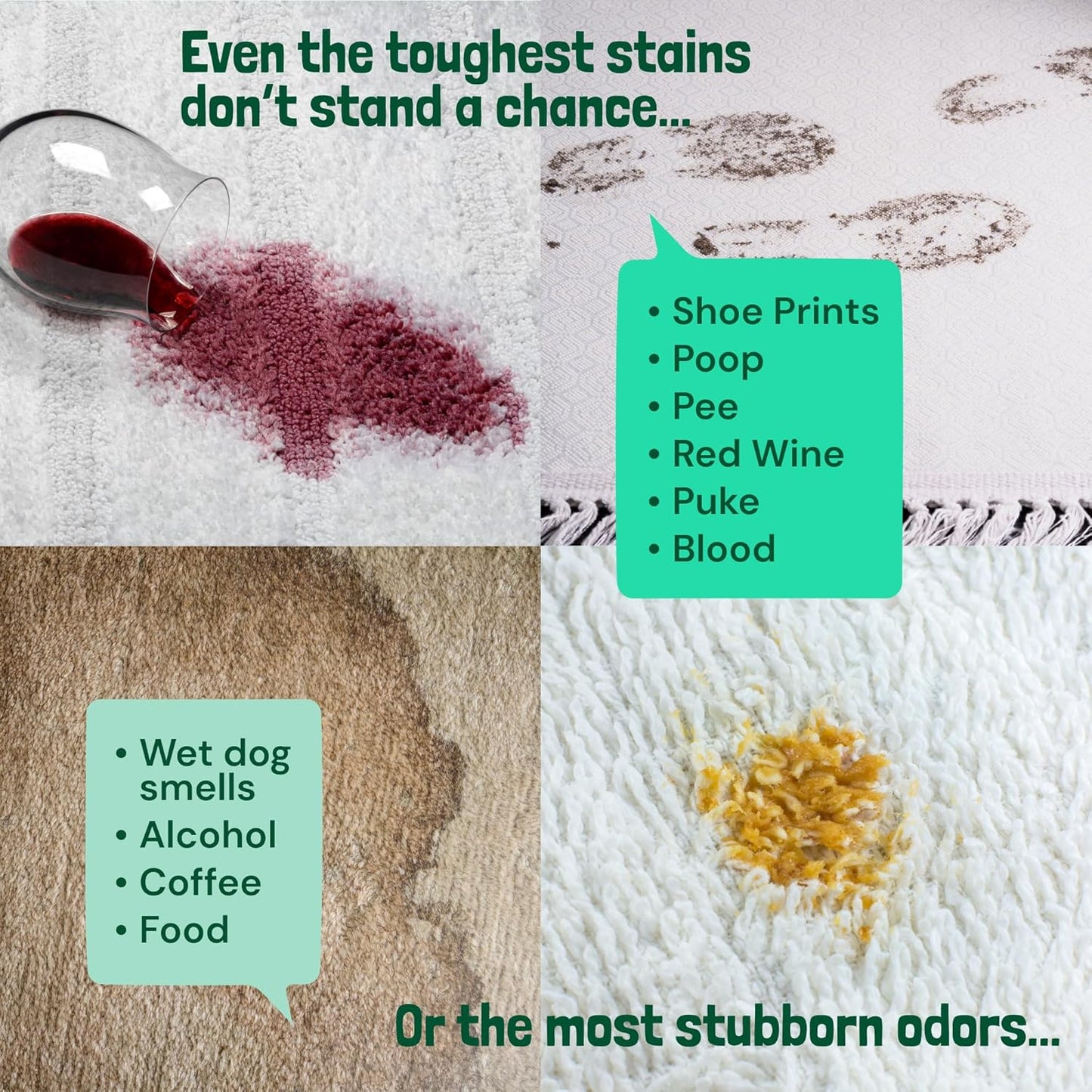 Sunny & Honey Carpet Cleaner Solution - 128 Fl Oz, Spring Mint Scent - Carpet Shampoo & Pet Stain Remover for Upholstery & Rugs, Works With Steam Cleaners