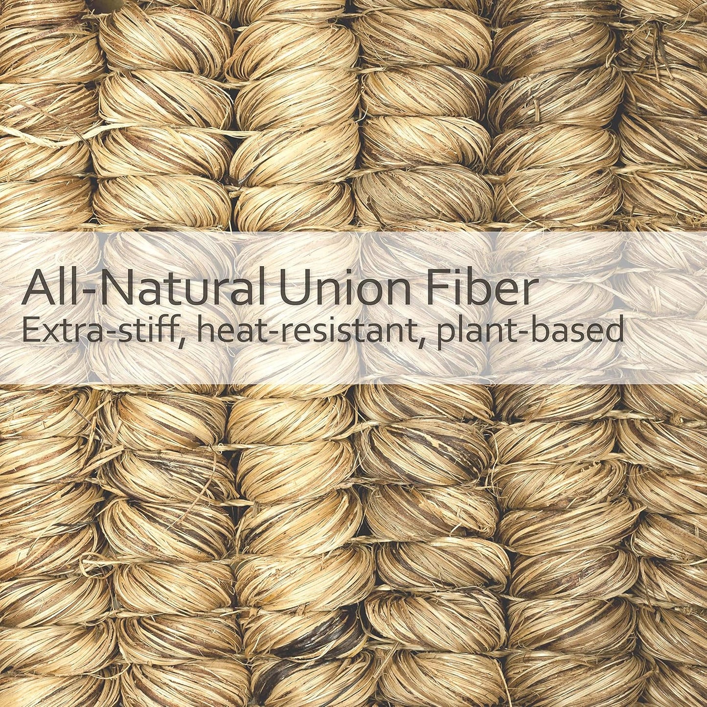 REDECKER Curved Dish Brush, Natural Union Plant Fiber Bristles, Ergonomic Design with Oiled Beechwood Handle, 9-1/4 Inches, Set of 2, Made in Germany - Natural Bristle Dish Brush